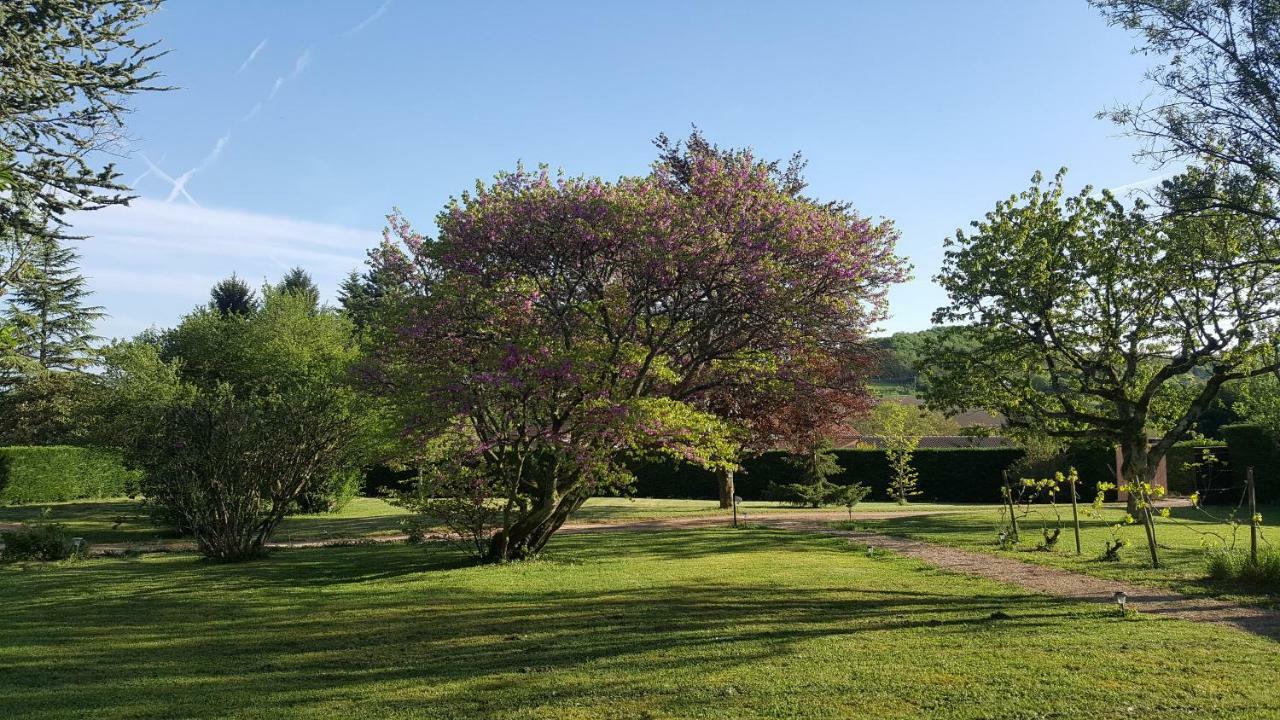 B&B Des Histoires D'Anges - Cote Jardin - Accueil Velo Tournus Exteriér fotografie